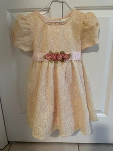 Rose Cottage Girls’ Beautiful Iridescent Flower Lace Overlay Pink Dress Size 5 - Picture 1 of 2