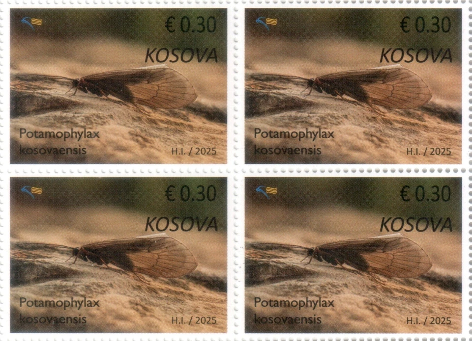 Estampillas de Kosovo 2025. Fauna endémica: Potamophylax kosovaensis. Bloque Definitivo 4 Foto 1 de 1