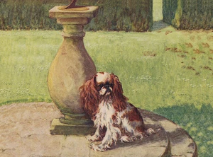 KING CHARLES TOY SPANIEL CHARMING DOG GREETINGS NOTE CARD BLENHEIM DOG IN GARDEN - Bild 1 von 1