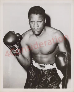 Boxer 8 x 10 Hochglanz Foto - Spinnennetz - Bild 1 von 2