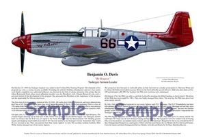 Tuskegee Airmen, Benjamin O. Davis, by Ernie Boyette - Picture 1 of 1