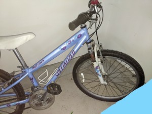 Specialized 24 Inch Bikes for sale | eBay