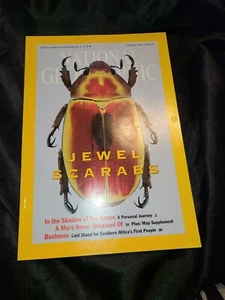 NATIONAL GEOGRAPHIC February 2001 JEWEL SCARABS Andes MARS Bushmen ROCK ART - Picture 1 of 3