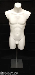 Male Display Mannequin on Adjustable Stand Sportswear Swimwear Torso Bust White - Picture 1 of 4