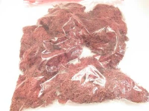 LYCHEN - OFF ROST COLOR - CA. 5 UNZEN - WEICH - H76 - Bild 1 von 1