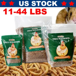 Bulk Dried Mealworms for chickens Birds Bluebirds Hamsters Hen Meal Worms Lot - Picture 1 of 18
