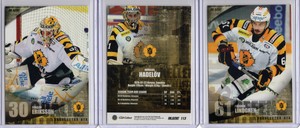 SKELLEFTEA AIK - SHL Elitset [2011/12] **** PICK YOUR CARD ****