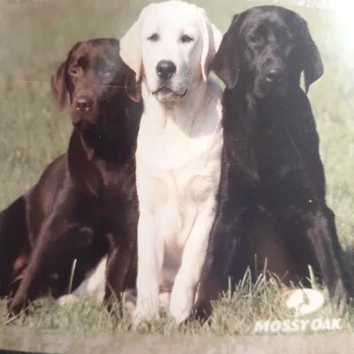 Manta de felpa suave roble musgo 50x60 perros Foto 1 de 3