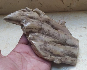 Coral Natural rare Branch Genuine specimen used for jewelry 475 gram 184 mm - Picture 1 of 15
