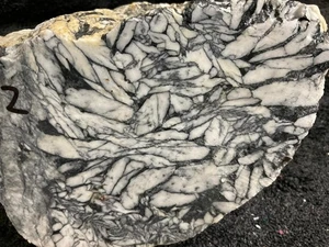 Z~ Pinolith Faced Rough fr Austria 4 Lbs - Picture 1 of 4