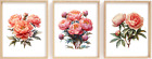 3 Sets Pink Peony Flower Print Home Decor Spring Summer 8.5”x11” Unframed