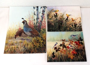 3 VTG Bird Photographs Pictures Signed, Limited Editions Quail Chickadee Nature - Picture 1 of 15