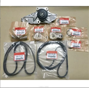 Timing Belt Kit with Water Pump For, ACURA MDX Accord Odyssey New - Picture 1 of 8