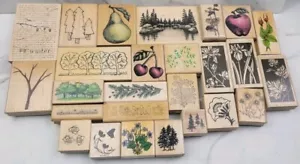Wodden Backed Rubber Stamps Nature Plant Tree Forest Fruit Flower Lot of 26 - Picture 1 of 9