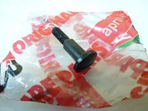 APRILIA COD.AP8113413 PERNO LEVA FRENO PER PEGASO125 RS125 TUONO125 CLIMBER280 - Imagen 1 de 1