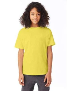Stock Clearance Hanes 5370 Youth 5.2 oz. 50/50 EcoSmart? T-Shirt - Picture 1 of 2