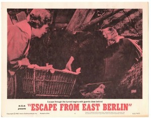 CHRISTINE KAUFMANN ESCAPE FROM EAST BERLIN 1962  ORIG 11X14 LOBBY CARD  LC3494