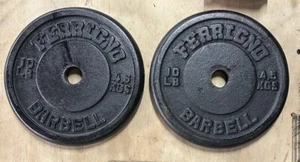 (2) Dos placas de hierro vintage Ferrigno de 1” 10 lb Incredible Hulk” culturista - Imagen 1 de 2