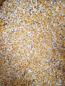 18 Pfund gerissener trockener Mais - Bild 1 von 1