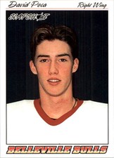 1995-96 Slapshot Hockey Card #40 David Peca