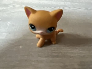 Littlest Pet Shop LPS #71 selten orange & weiß siamesisch blaue Augen roter Magnet 2004 - Bild 1 von 5