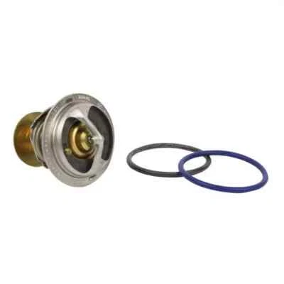 Conjunto de termostato genuino Ford Mercury 2005-2007 Freestyle Montego 5F9Z-8575-A Foto 1 de 4