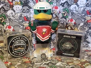 Quad City Mallards Hockey Lot - Mo Mallard Bobble, 2 Pucks in Case, and Pin CHL - Bild 1 von 13