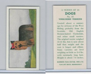 B0-0 Barbers Tea, Dogs, 1961, #22 Yorkshire Terrier