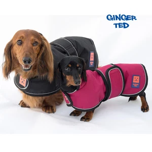 Ginger Ted Waterproof Dachshund Dog Coat optional harness, warm lining, raincoat - Picture 1 of 9