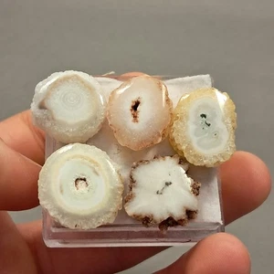 Solar Quartz slice cabochons x 5 - 74crt 18mm loose gemstone Eo-1189 - Picture 1 of 8