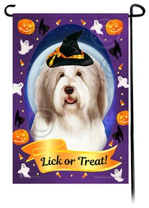 Halloween Garden Flag - Light Liver and White Bearded Collie - Picture 1 of 1