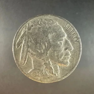 1929 Buffalo Nickel Well-Worn Detail - Picture 1 of 4