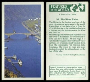 The River Rhine #36 Features Of The World 1984 Brooke Bond Tea Card - Picture 1 of 1