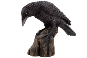 Black Raven or Crow on Rocks Hand Painted Resin Statue Figurine 5.25 Inches Tall - Picture 1 of 3