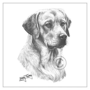 Mike Sibley Labrador amarillo Lab Retriever raza perro tarjeta de felicitación feliz cumpleaños - Imagen 1 de 3