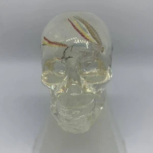 Fly Fishing Dreams Resin Skull Head Paper Weight Desk Alter Home Decor - Picture 1 of 2
