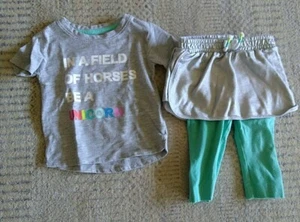 Girls Cat & Jack  Shirt & Leggings W/ Skirt Attached Sz 2T - Picture 1 of 3