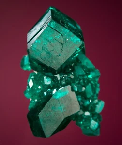 Mina Melanson TN Collection Dioptase Tsumeb, región de Otjikoto, Namibia 1212-4933 - Imagen 1 de 2