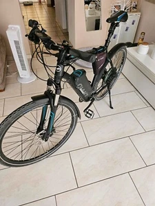 E Bike Giant Roam XR Hybrid - Bild 1 von 5