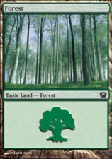 FOREST #350 9th Edition MTG Magic the Gathering Cards DJMagic