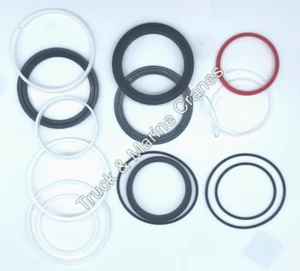 BONFIGLIOLI BONFIG CRANE P7200L MAIN + JIB REPLACEMENT SPARES HYDRAULIC SEAL KIT - Picture 1 of 24