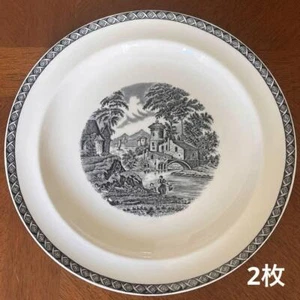 British Vintage Wedgwood Lugano Dinner Plates (2) - Picture 1 of 11