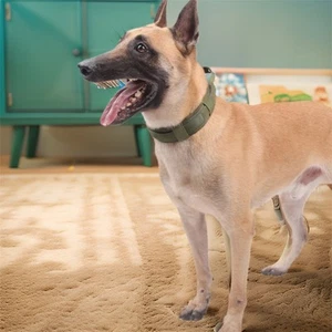Metal Buckle Dog Neck Collar Breathable Dog Rivet Collar German Shepherd - Picture 1 of 16