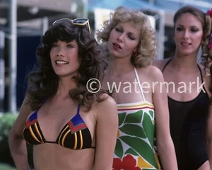 Barbi Benton Schauspielerin, Model 8 x 10 Foto-Nachdruck - Bild 1 von 1