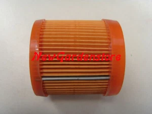 Luftfilter Aufsitzmäher Rasenmäher BH153-BLV198 Tecumseh 23410027 199006 - Bild 1 von 6