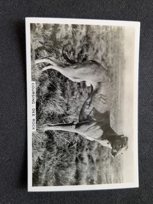 1935 Pattreiouex Sporting Events & Stars Card # 47 Dee Rock (EX) - Image 1 of 3