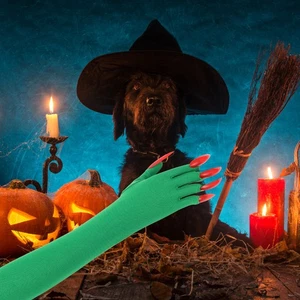 Guantes de Fiesta de Halloween Cosplay Accesorios de Disfraz Negro con Garras Hombre - Imagen 1 de 12