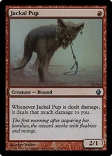 FOIL JACKAL PUP x ~mtg NM Premium Deck Series: Fire & Lightning Unc