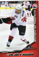 Joey Hishon 2013-14 AHL Top Prospects Lake Erie Monsters