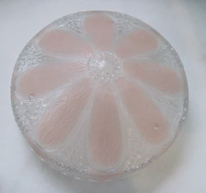 Viktorianischer mattierter Glas Deckenlampenschirm 10" rosa Blumenmuster - Bild 1 von 19